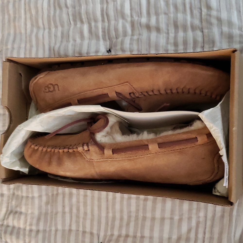 Ugg slippers